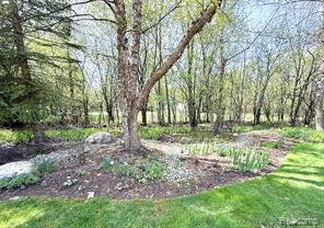 main property photo 60