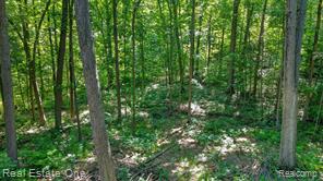 main property photo 50