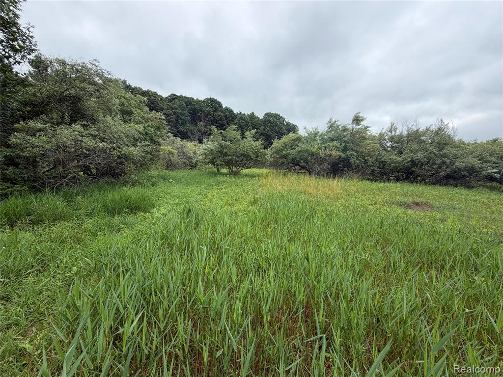 main property photo 11