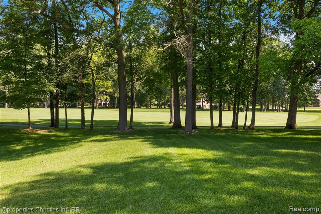 main property photo 66