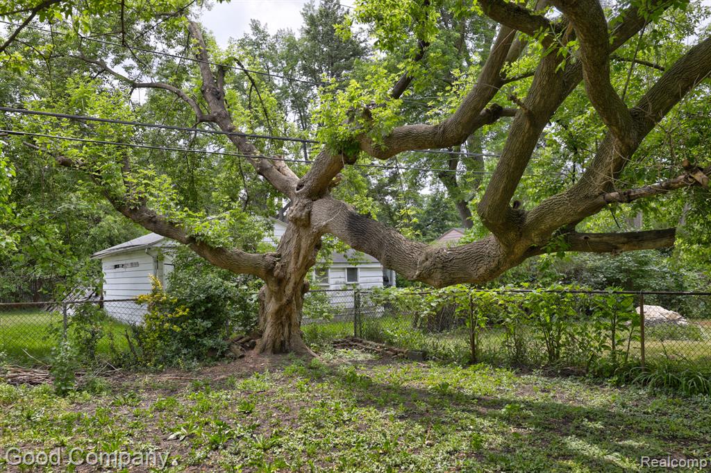 main property photo 33