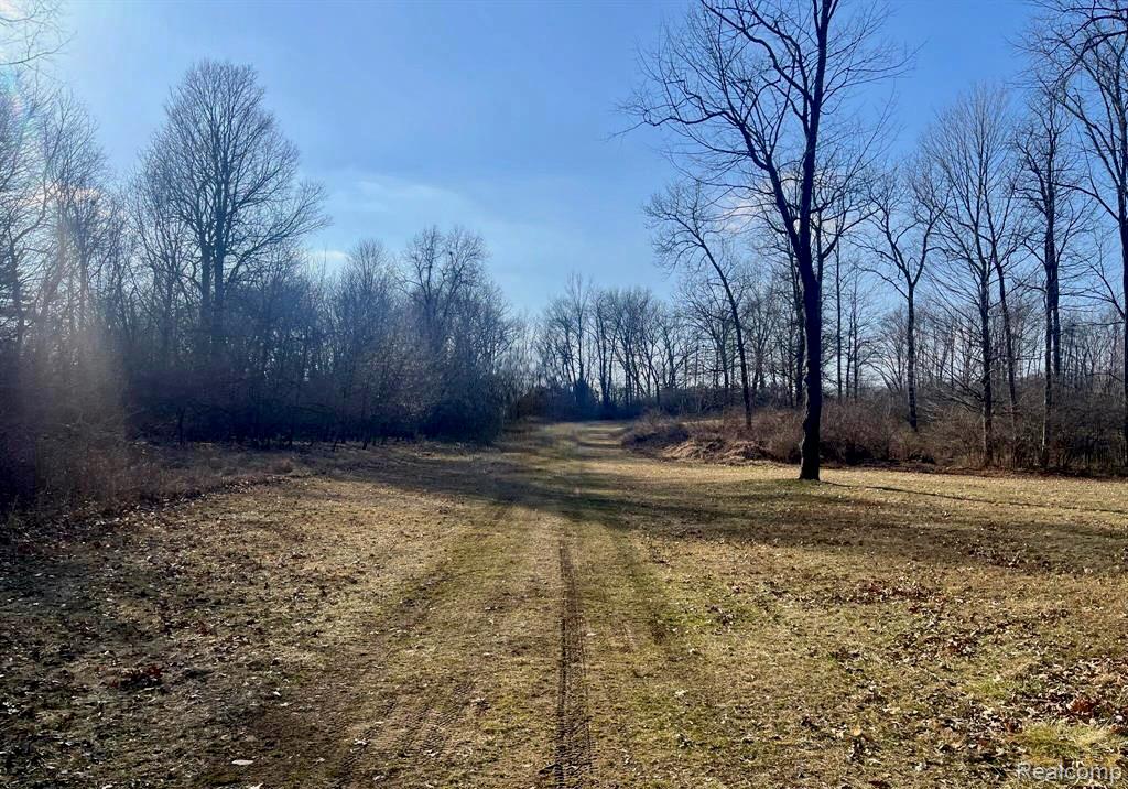 main property photo 7