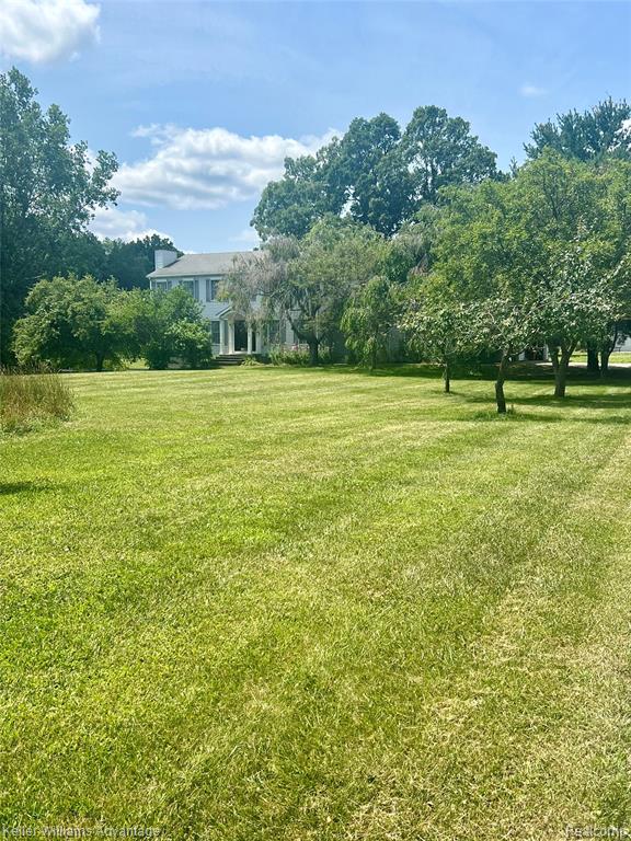 property viewer photo 64