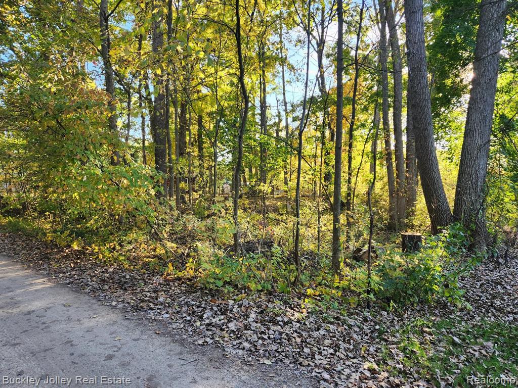 main property photo 0