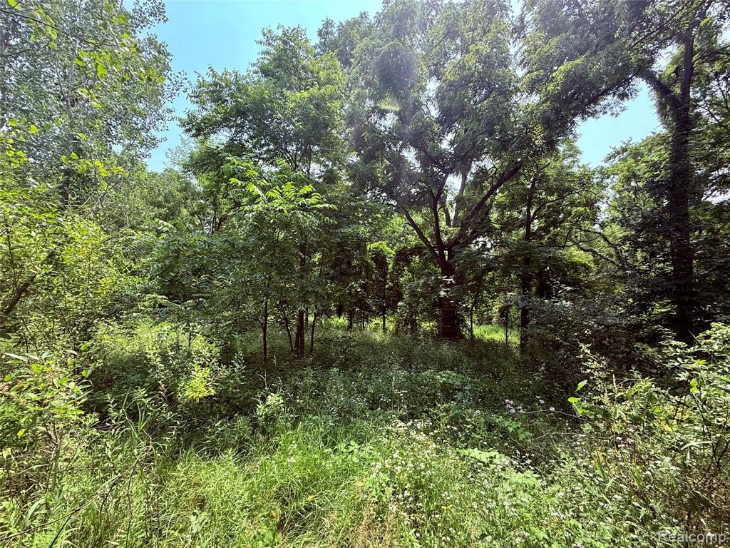 main property photo 10