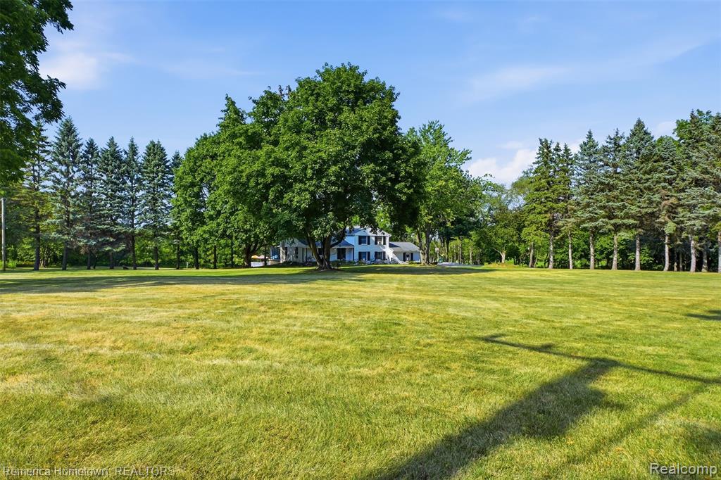 main property photo 5