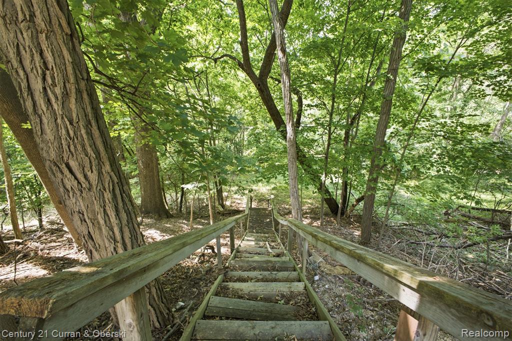 main property photo 39