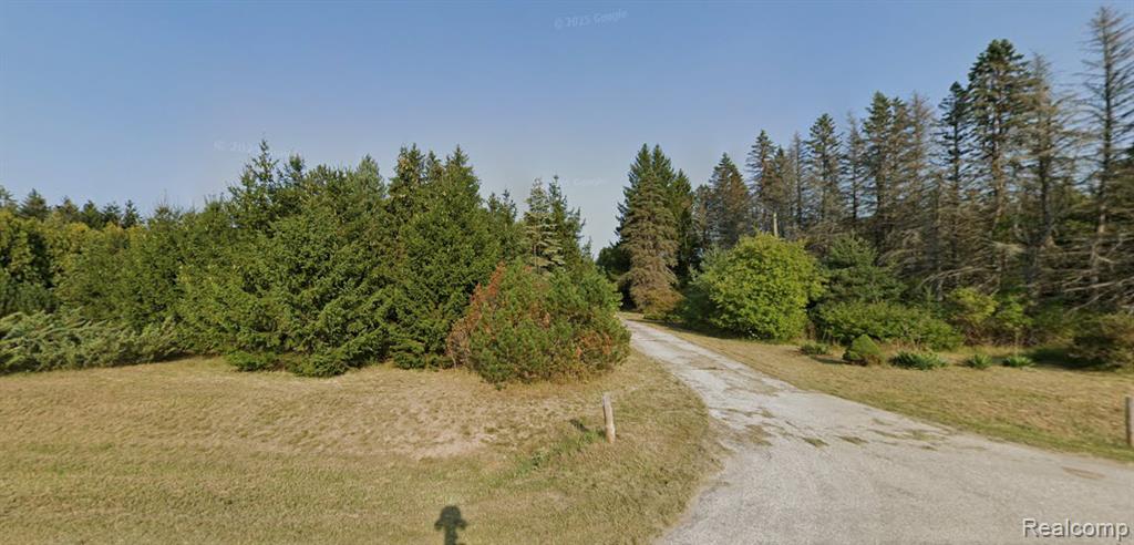 main property photo 5