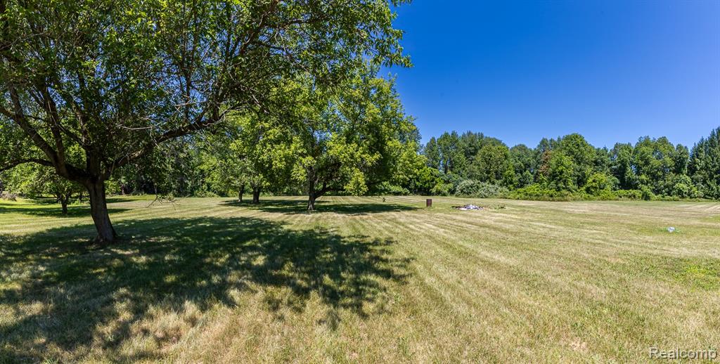 main property photo 48