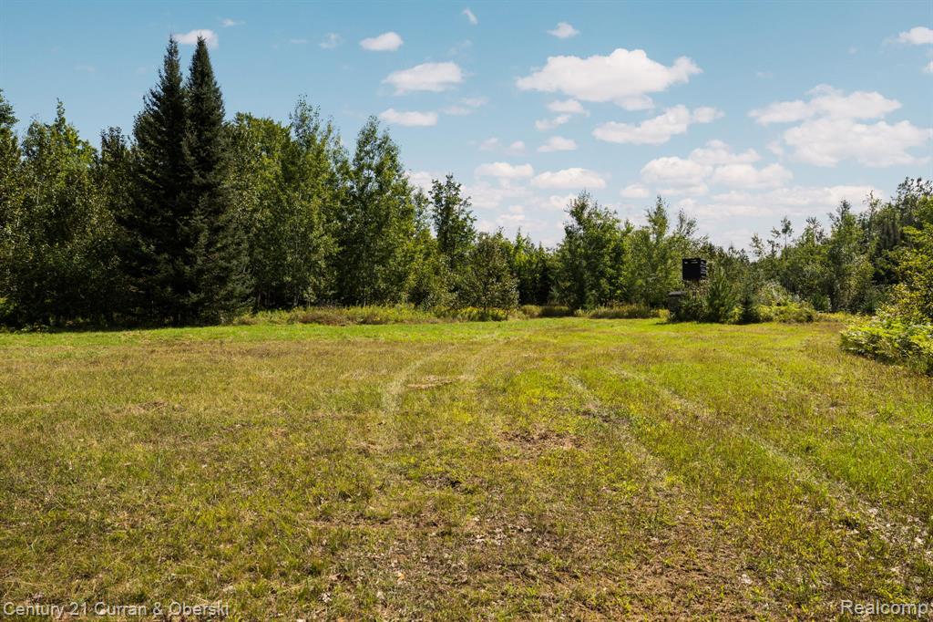 main property photo 37