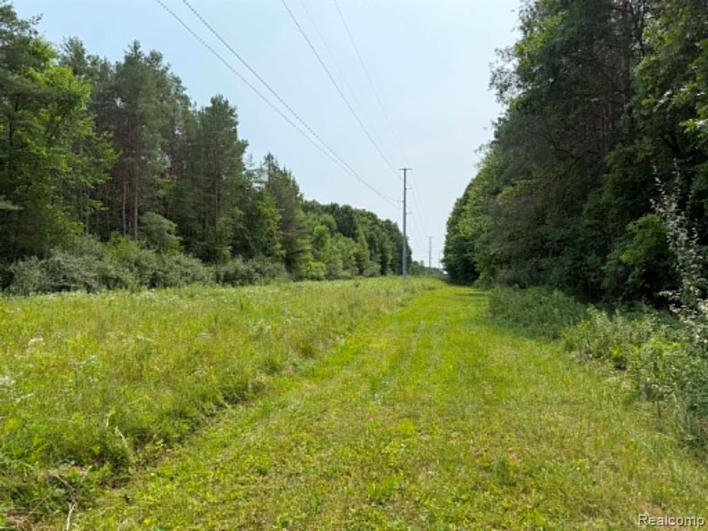 main property photo 26
