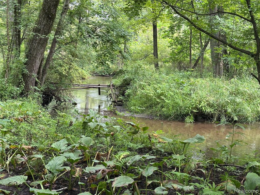 main property photo 26