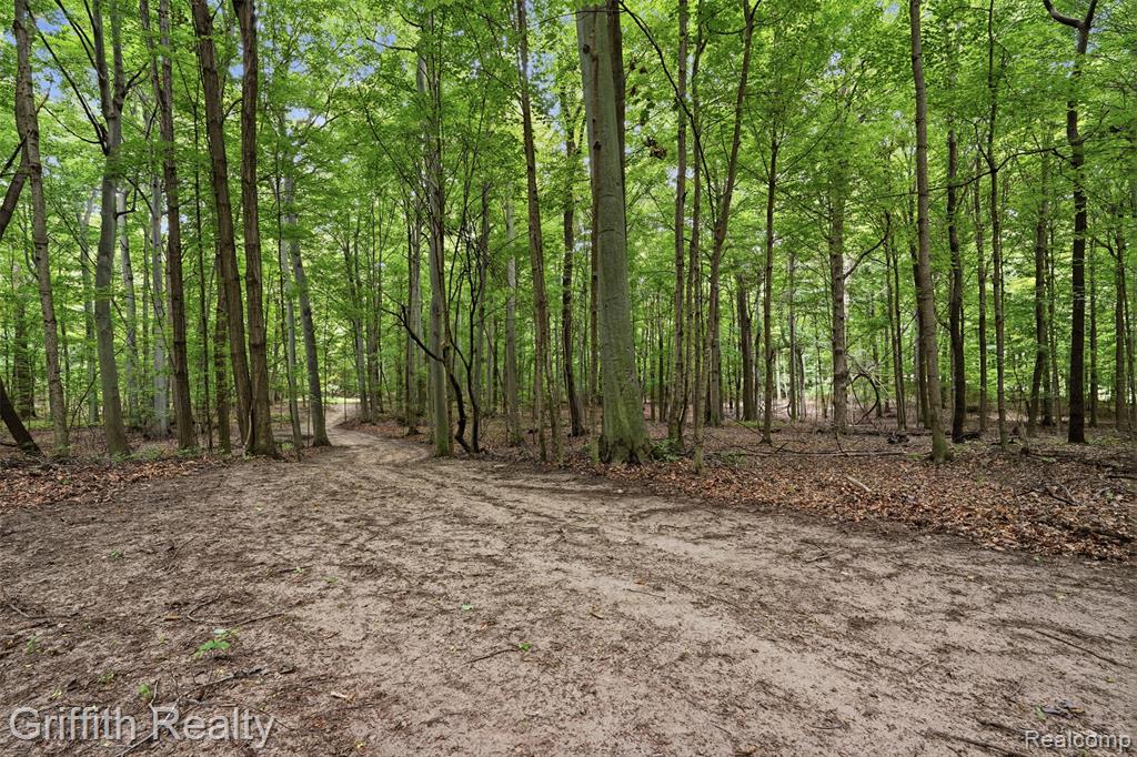 main property photo 68
