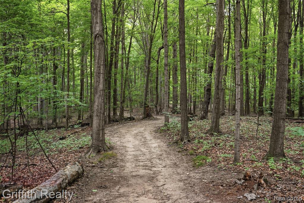 main property photo 71