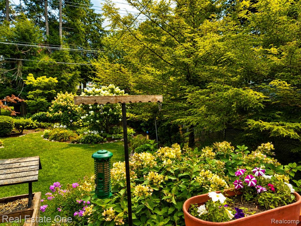 main property photo 56