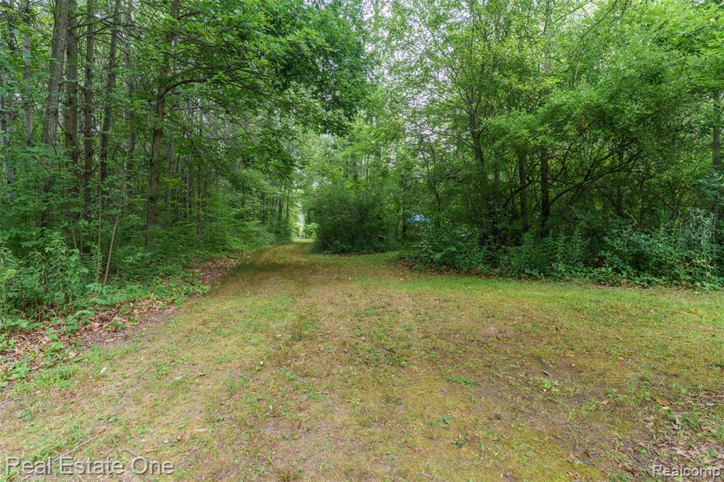 main property photo 14