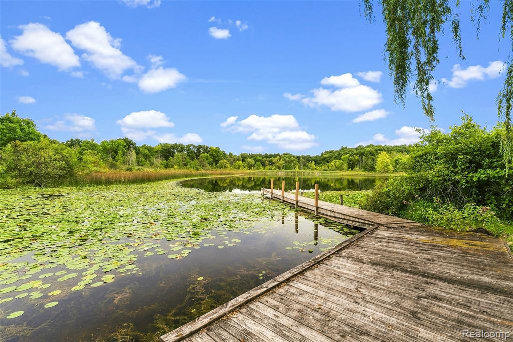 main property photo 44