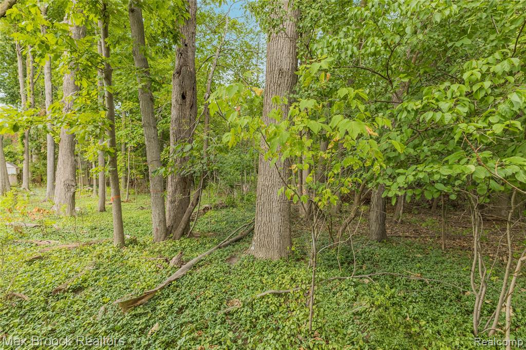 main property photo 72