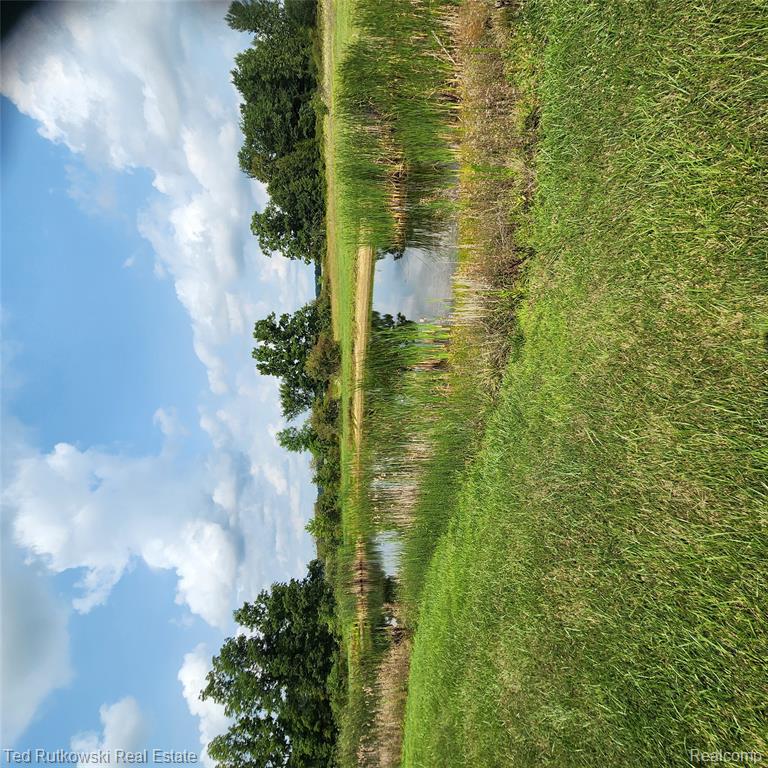 main property photo 9