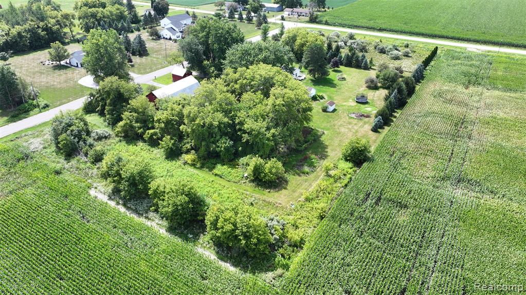 main property photo 32