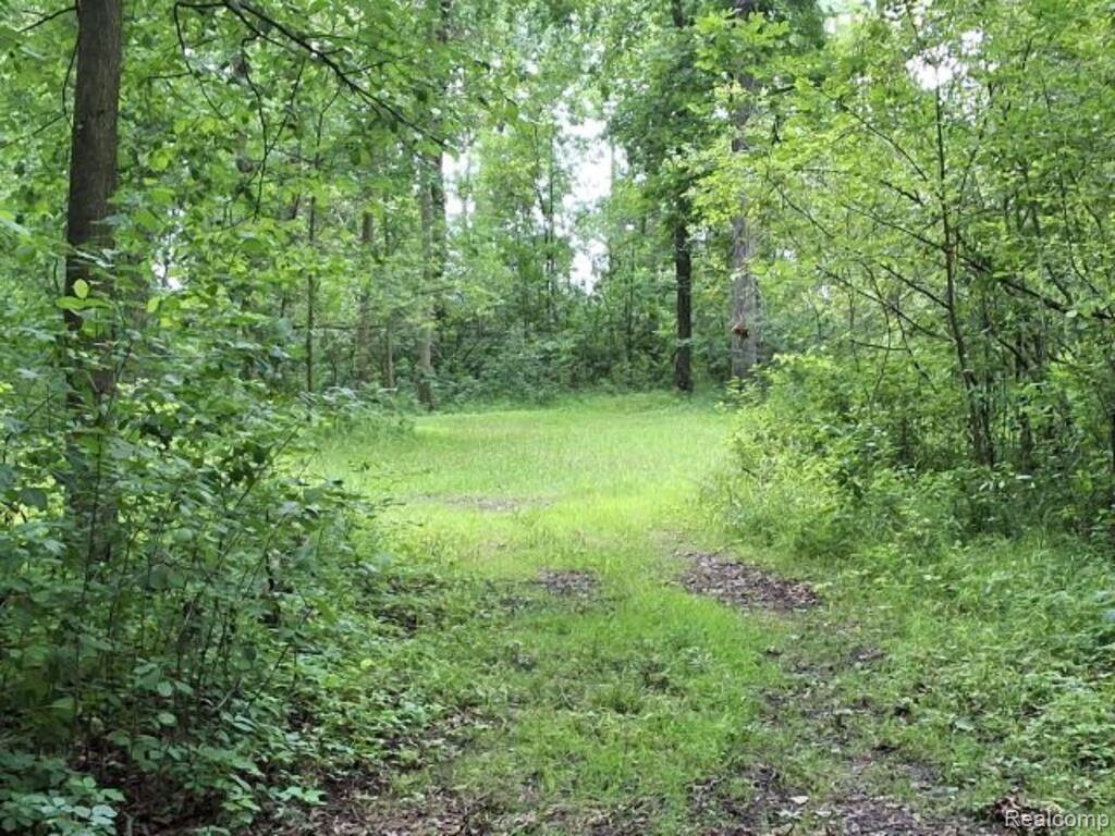 main property photo 32