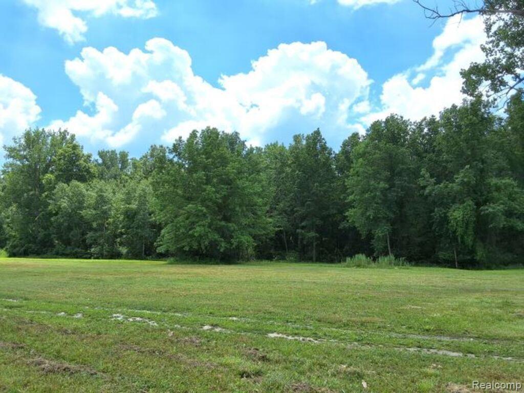 main property photo 56