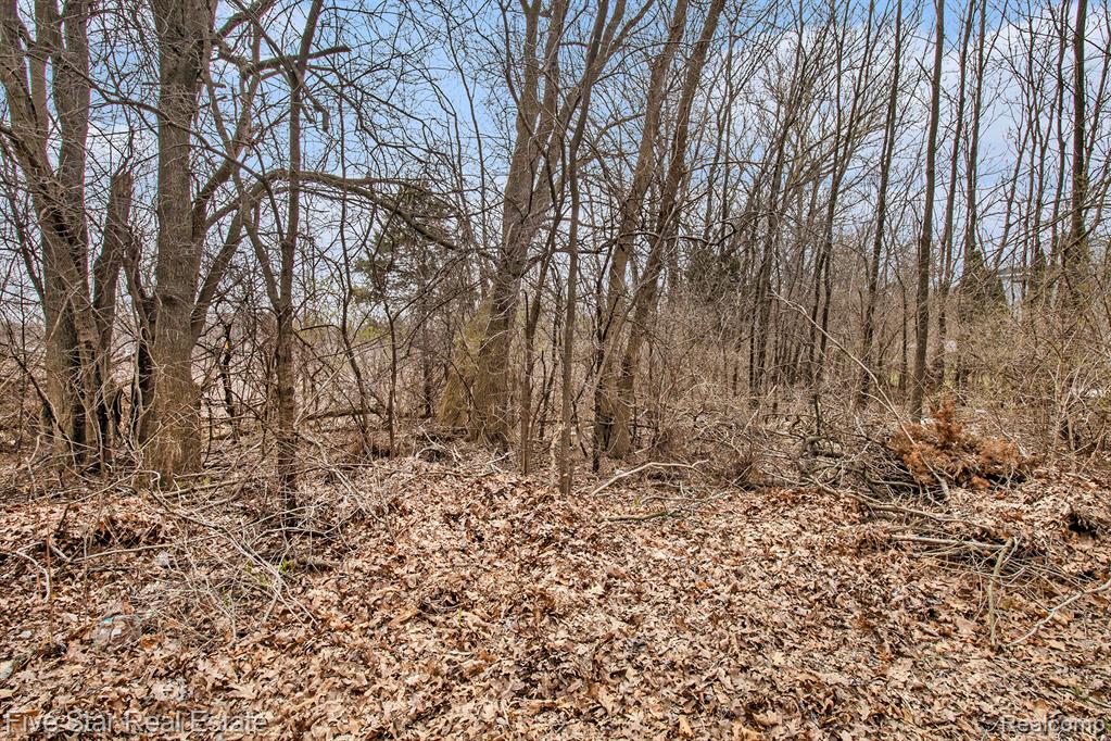 main property photo 0