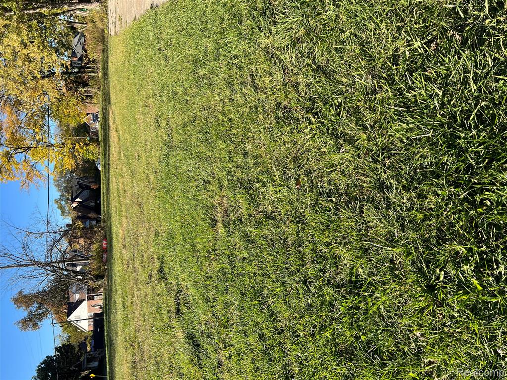 main property photo 38