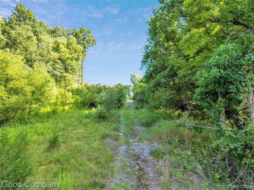 main property photo 11
