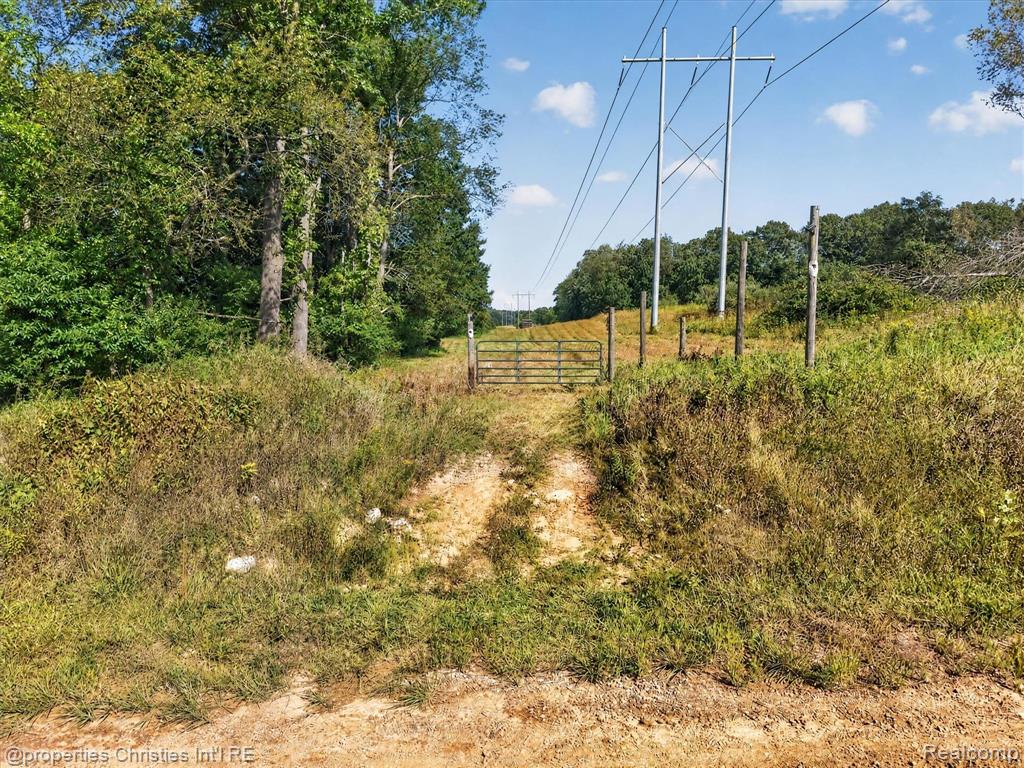 main property photo 6