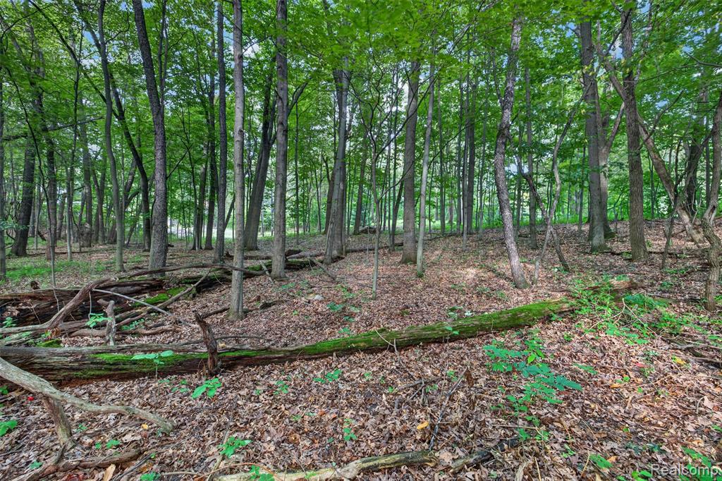 main property photo 49