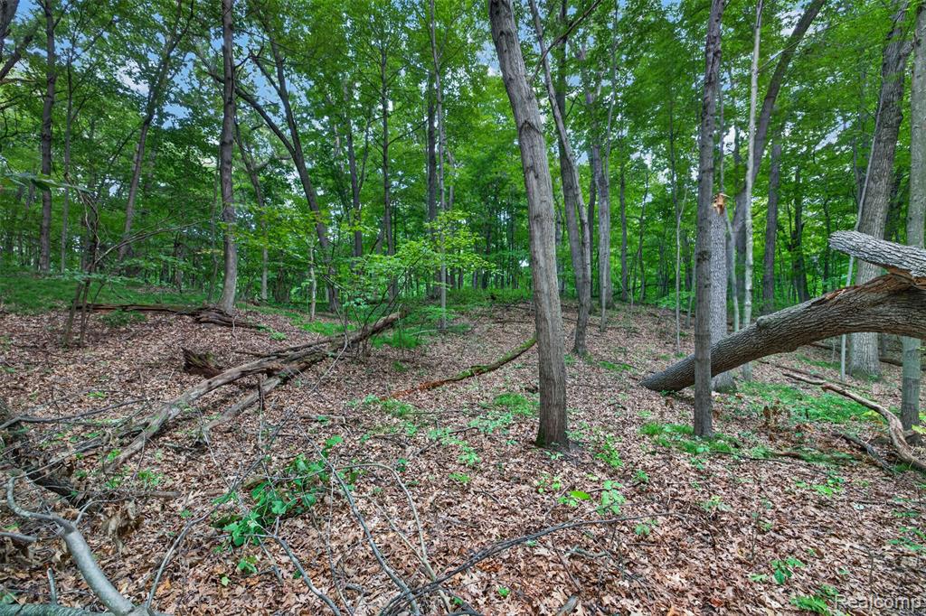 main property photo 53