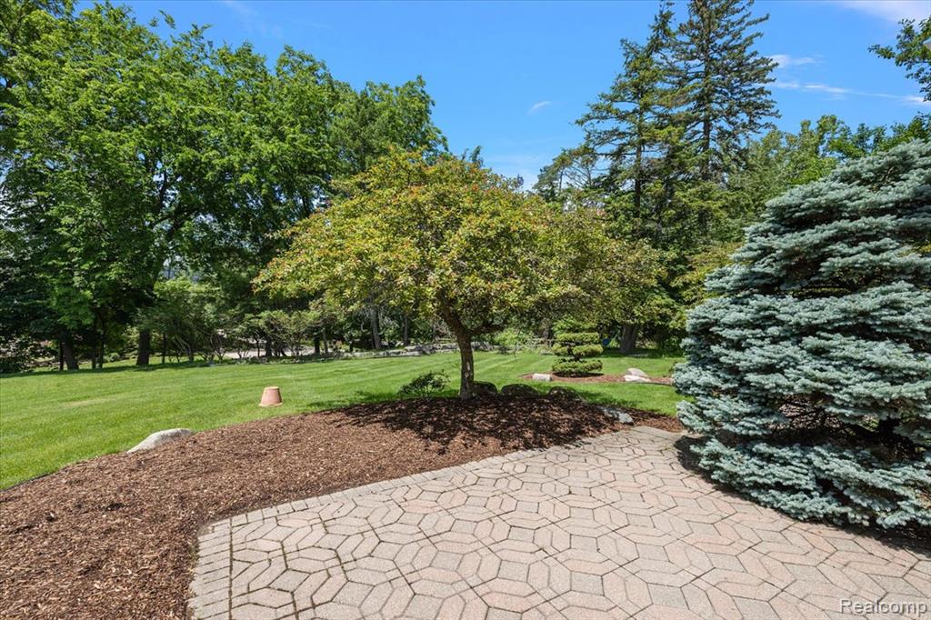 main property photo 53