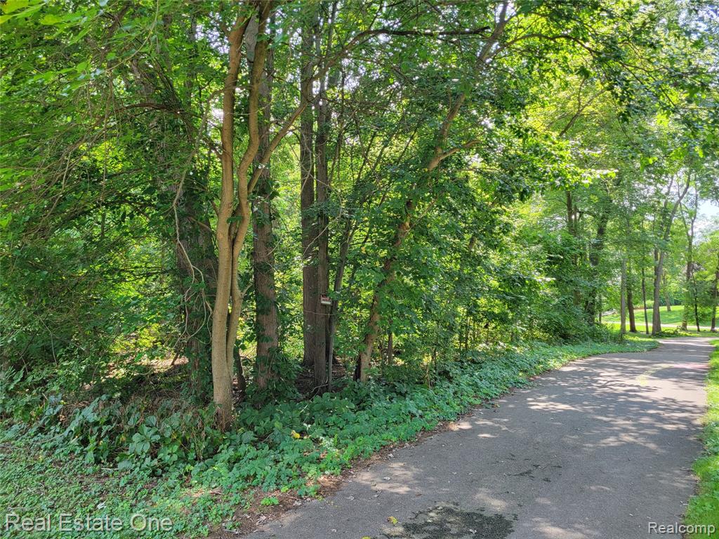 main property photo 7