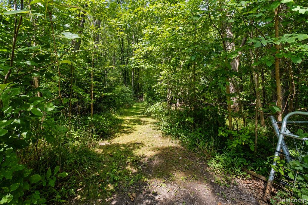 main property photo 28