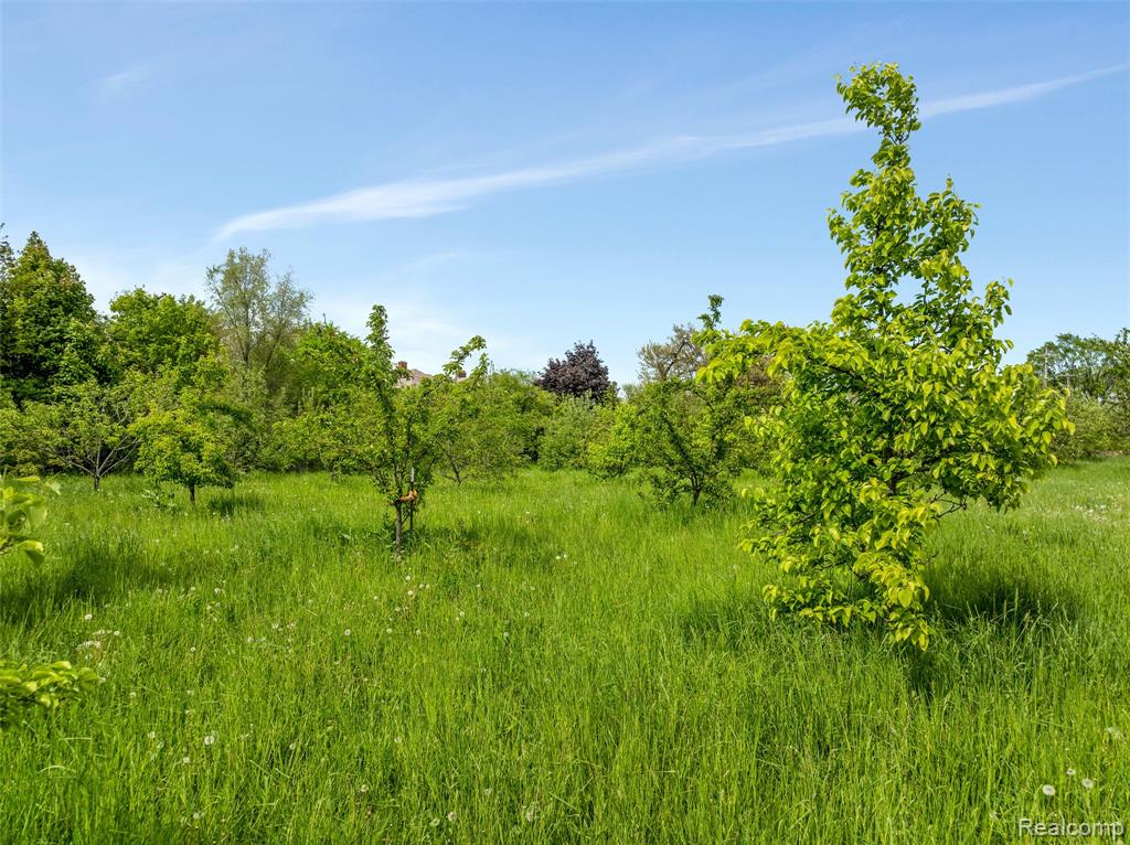 main property photo 17