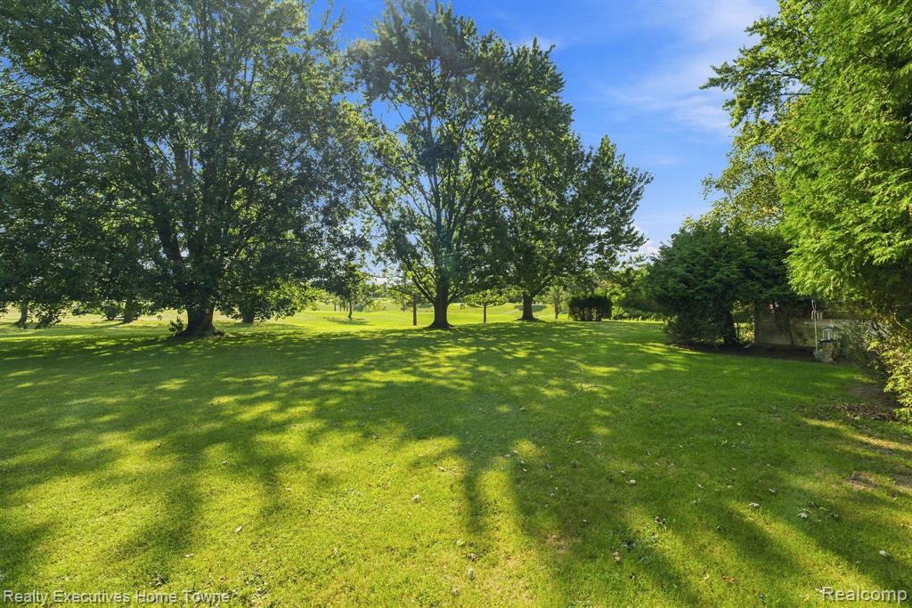main property photo 56