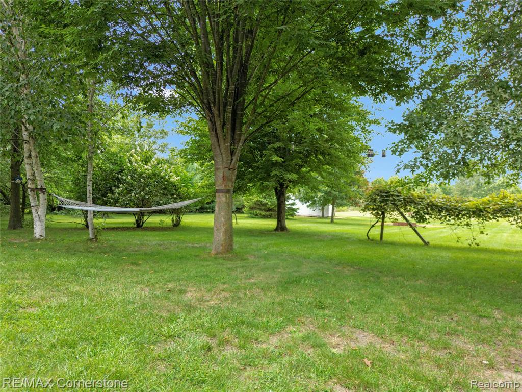 main property photo 47