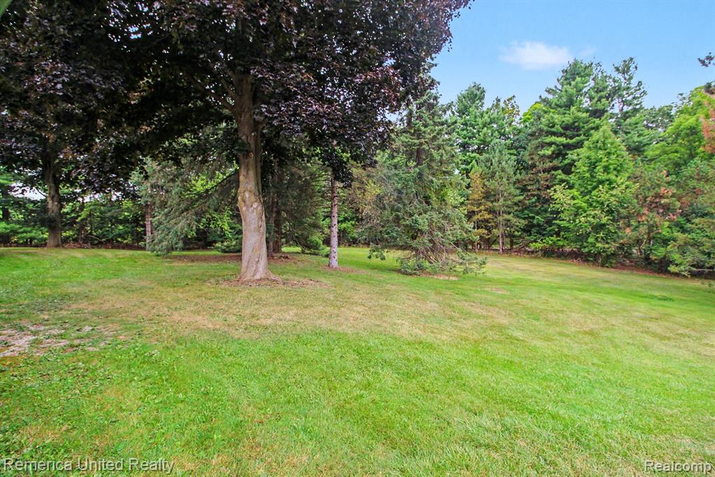 main property photo 33