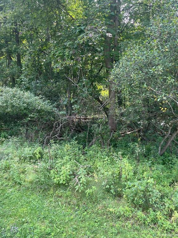 main property photo 39