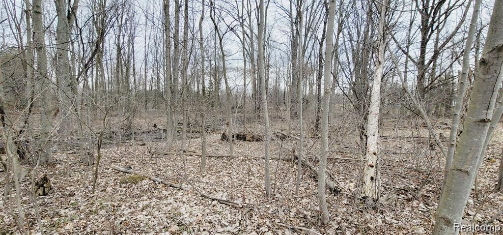 main property photo 35