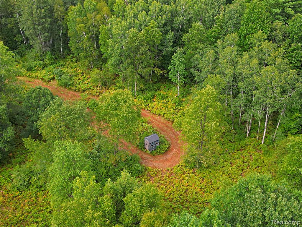 main property photo 16