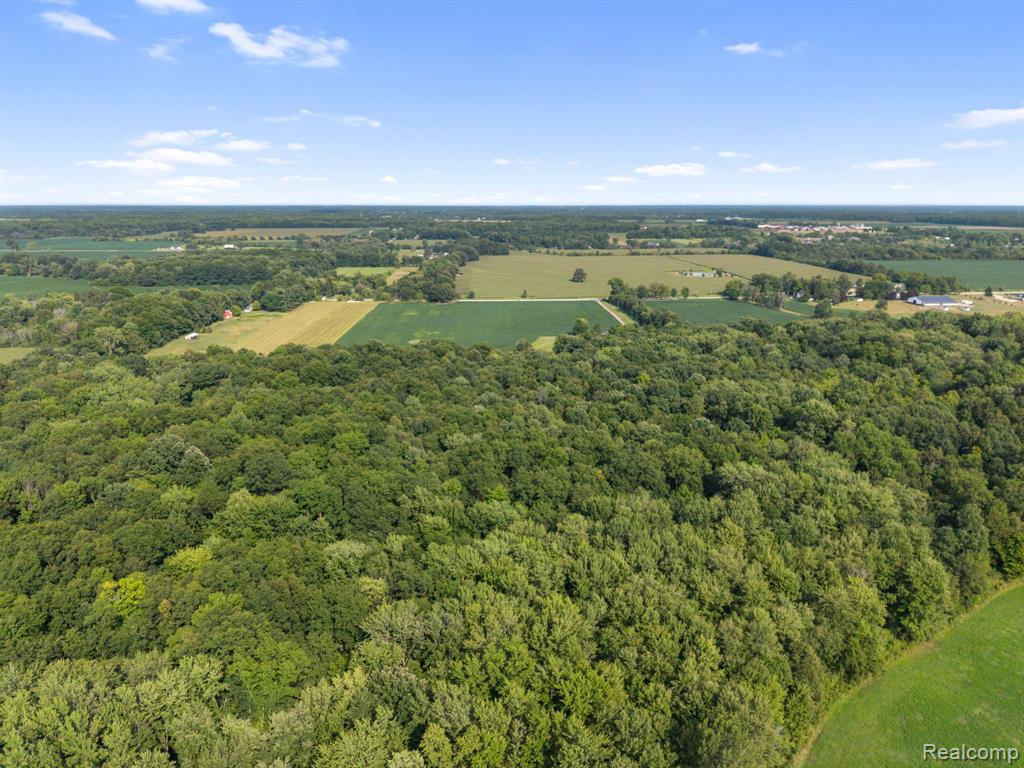 main property photo 89