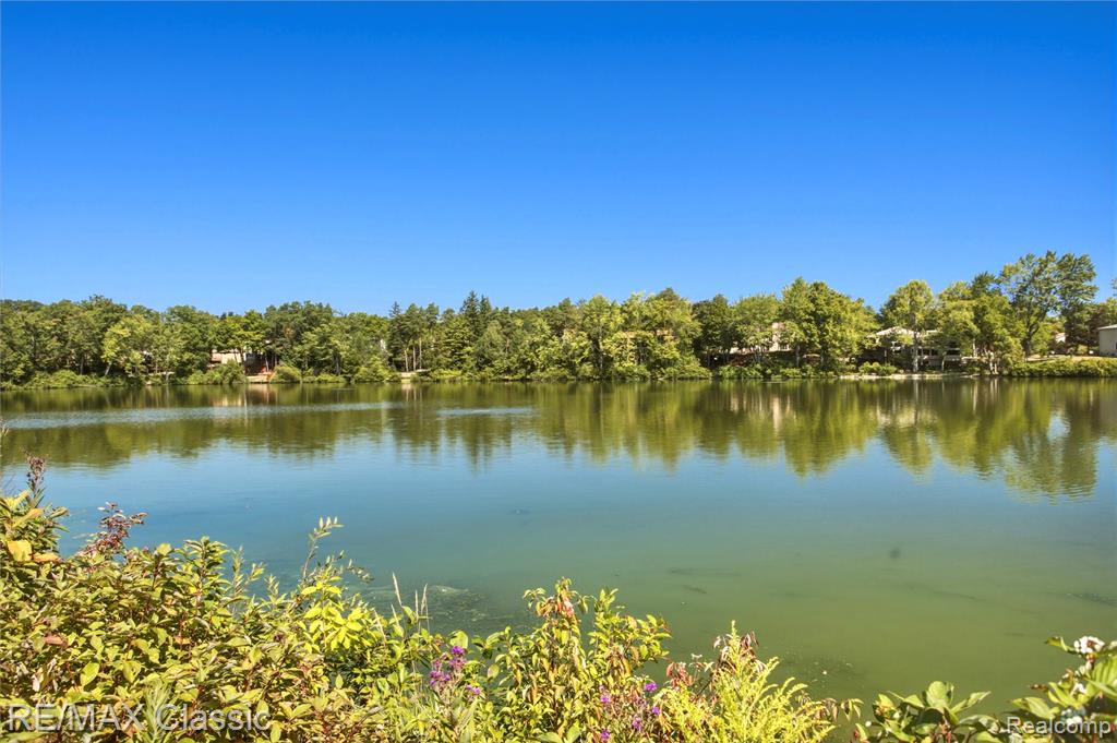main property photo 56