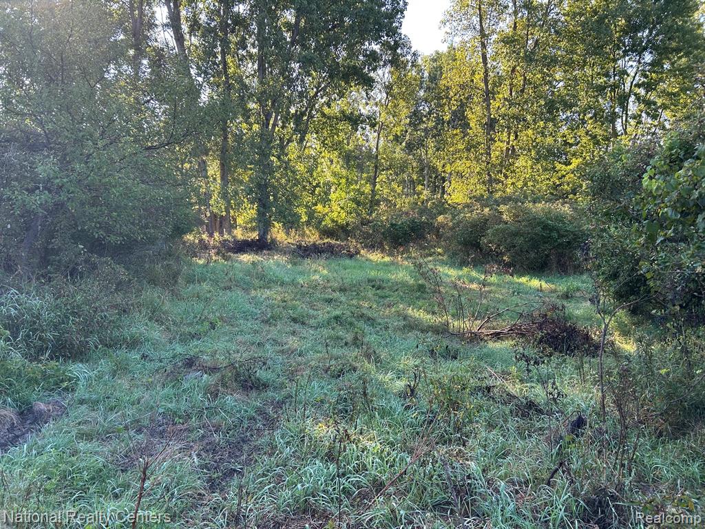 main property photo 0