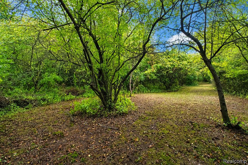 main property photo 22