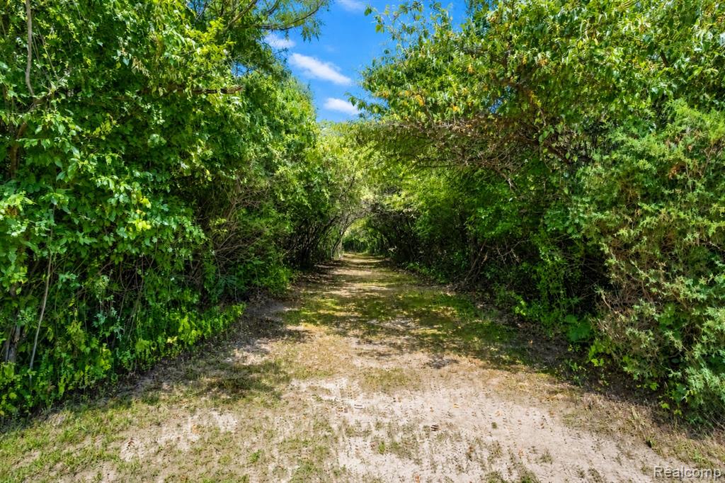 main property photo 23