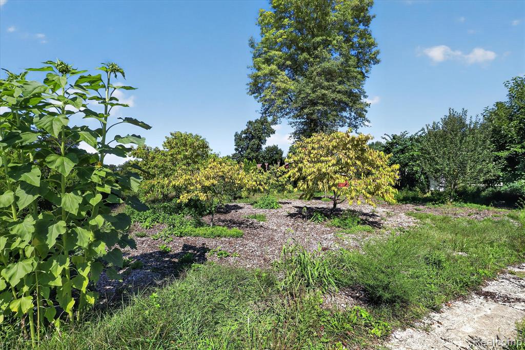 main property photo 42