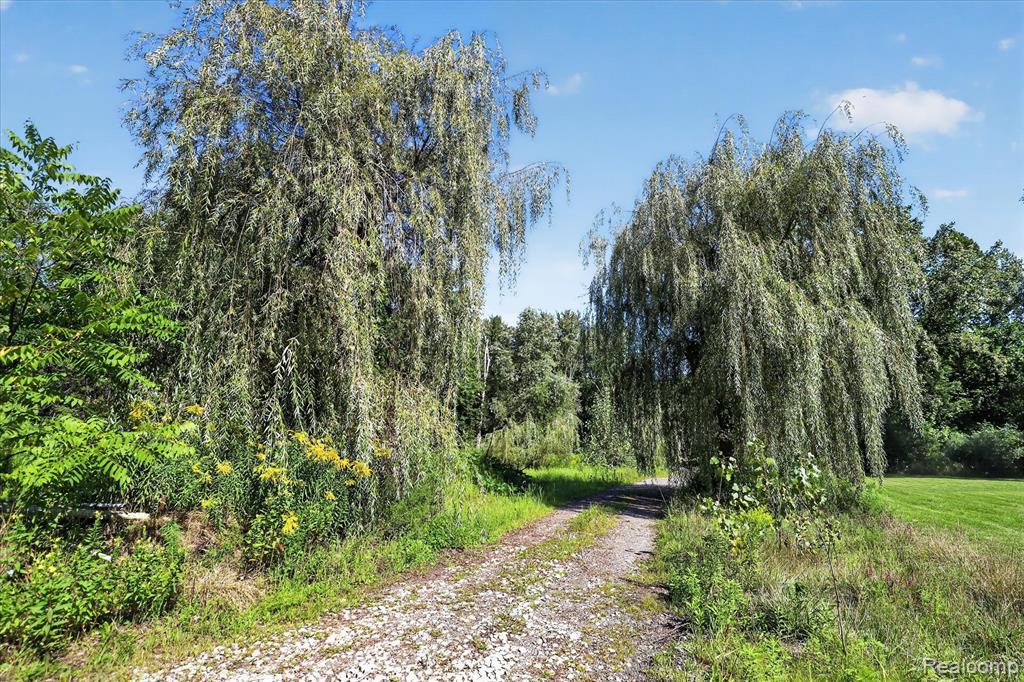 main property photo 53