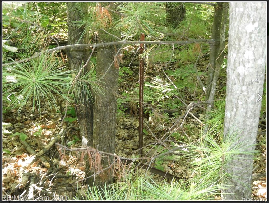 main property photo 0
